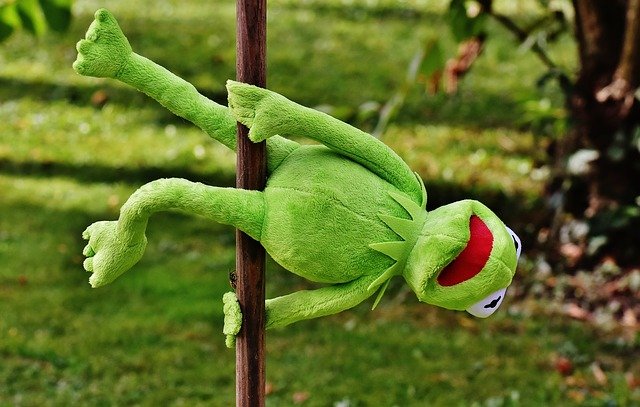 žabák při pole dance