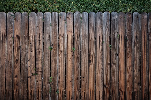 dřevěný plot, zeleň